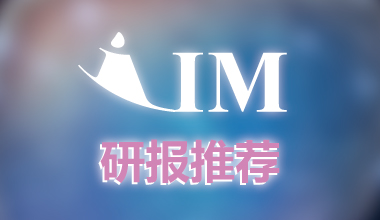 全球及中國網(wǎng)絡信息安全行業(yè)診斷報告（2025-2030年版）